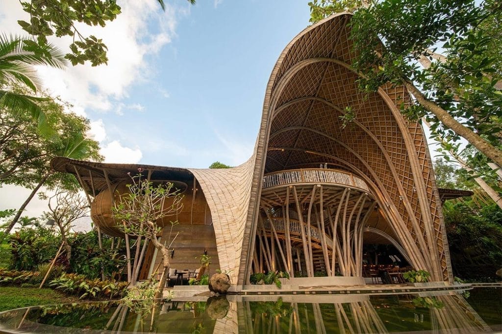 bamboo structure