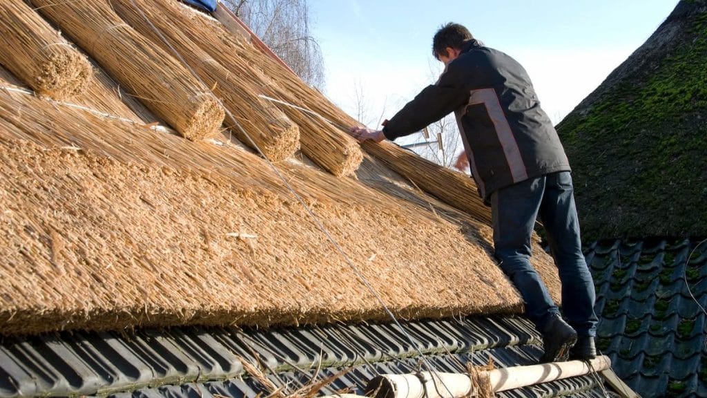 thatched roofs