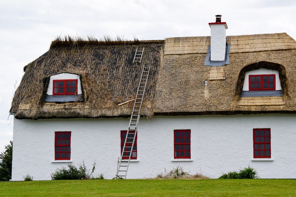 thatched roofs