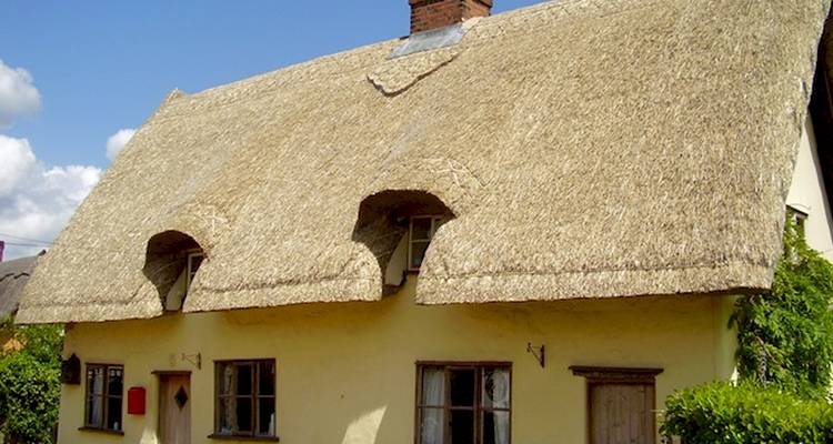 thatched roofs