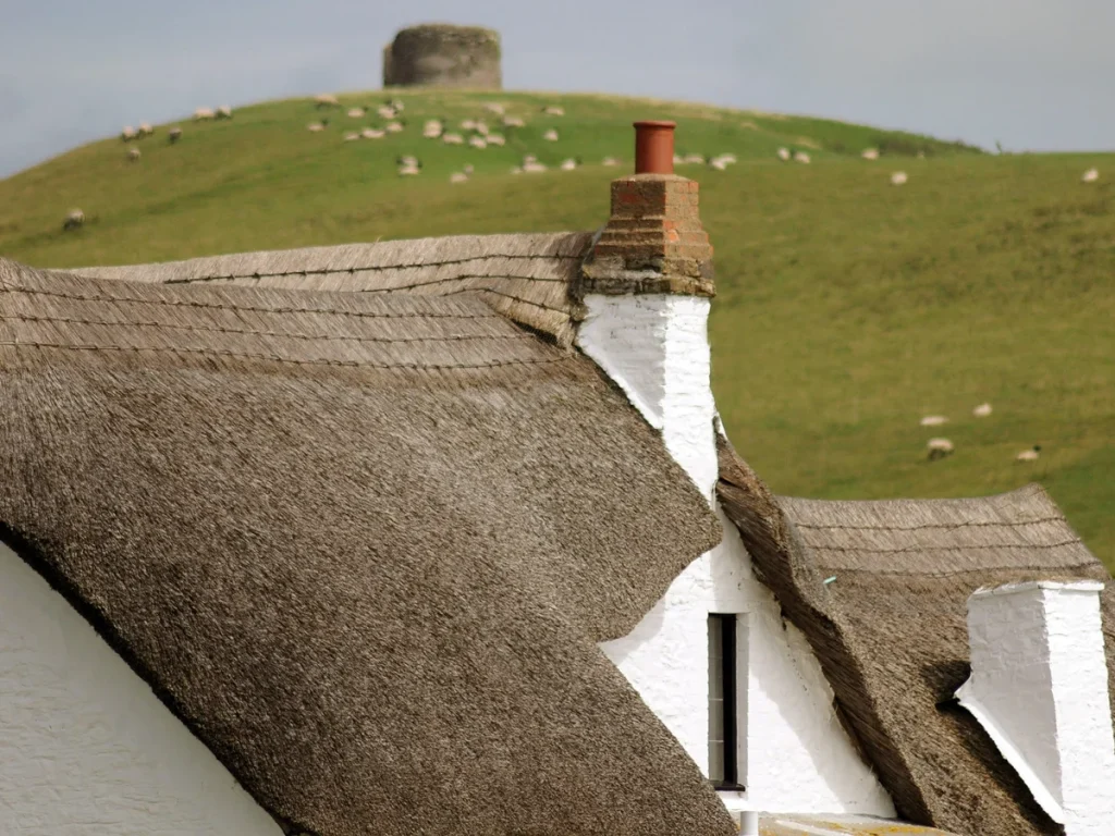 thatched roofs