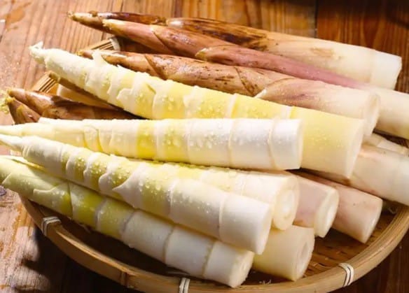 the economic value of bamboo 