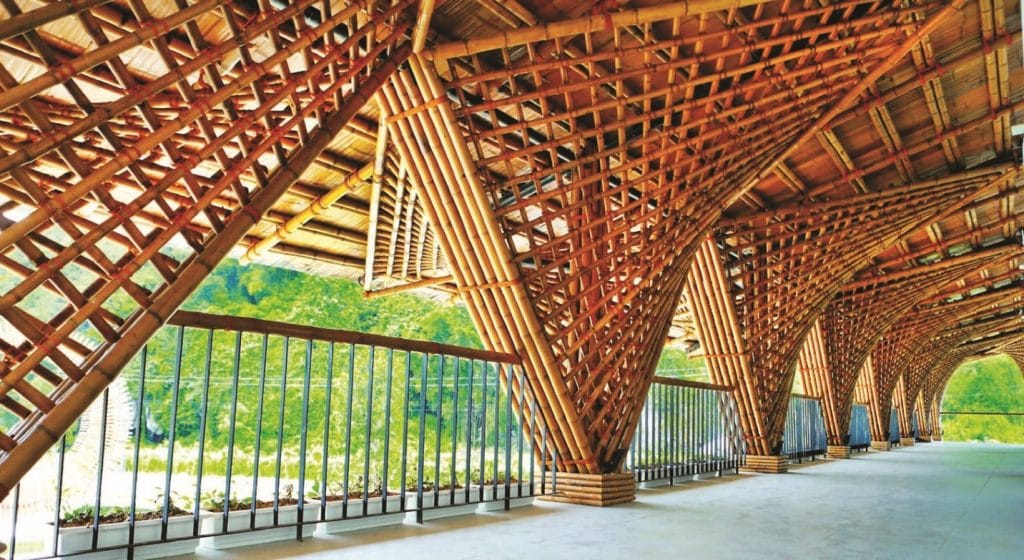 the economic value of bamboo 