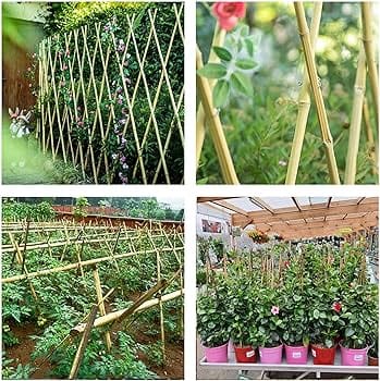 bamboo garden stakes