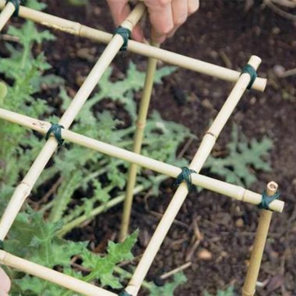 bamboo garden stakes
