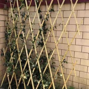 bamboo garden stakes