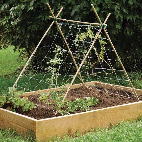 bamboo garden stakes
