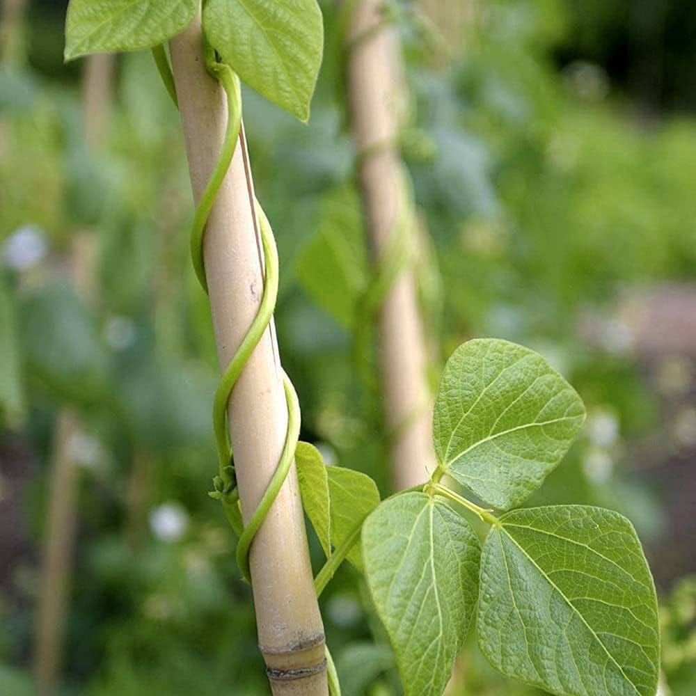 bamboo garden stakes