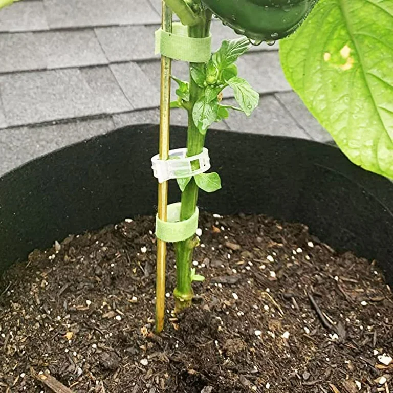 bamboo garden stakes