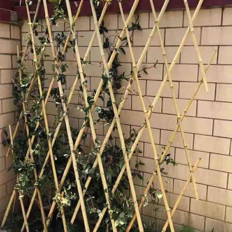 bamboo garden stakes