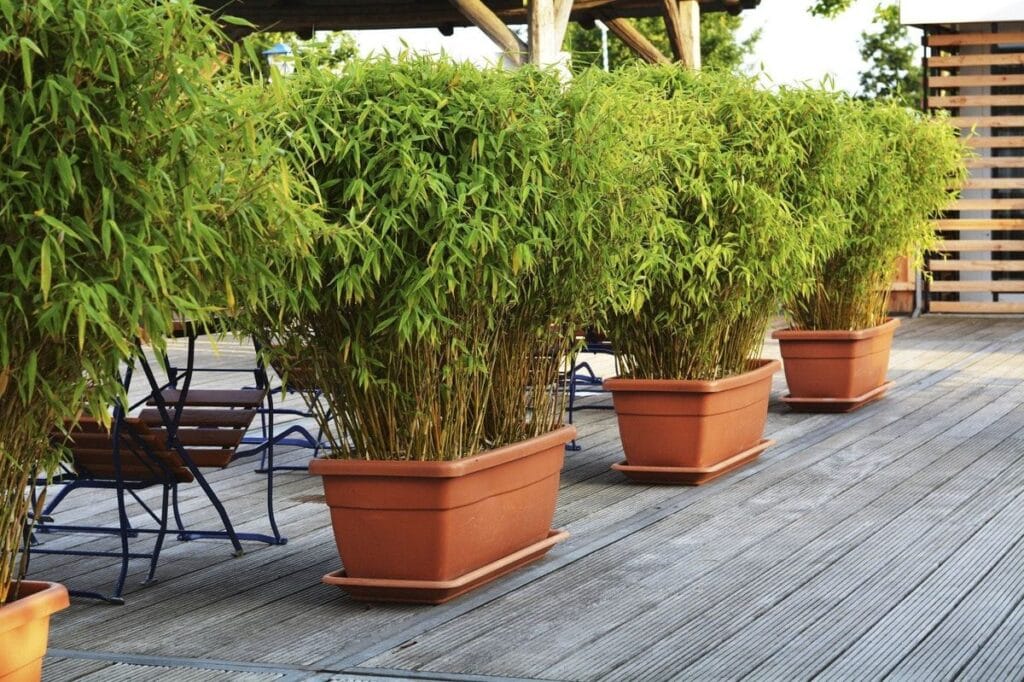 eco-friendly landscaping ideas