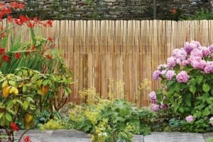 eco-friendly landscaping ideas