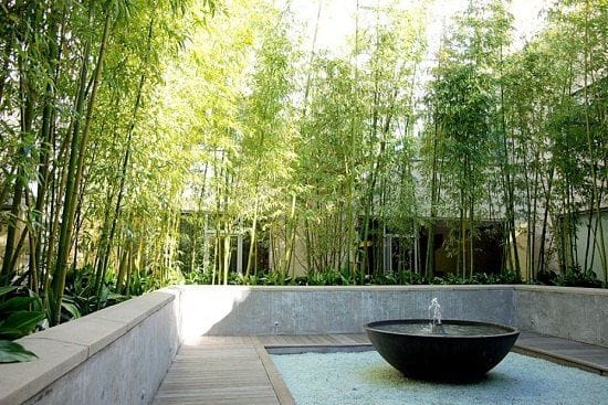 eco-friendly landscaping ideas