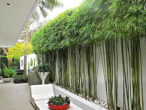 eco-friendly landscaping ideas