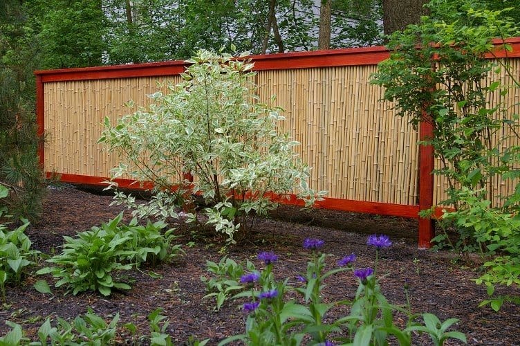 eco-friendly landscaping ideas