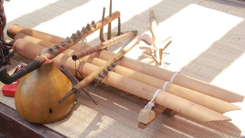 growth and shaping of bamboo