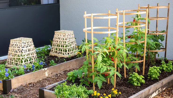 Prepare garden for spring