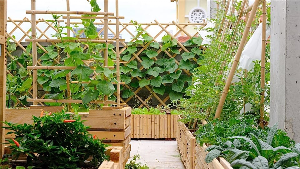 Prepare garden for spring