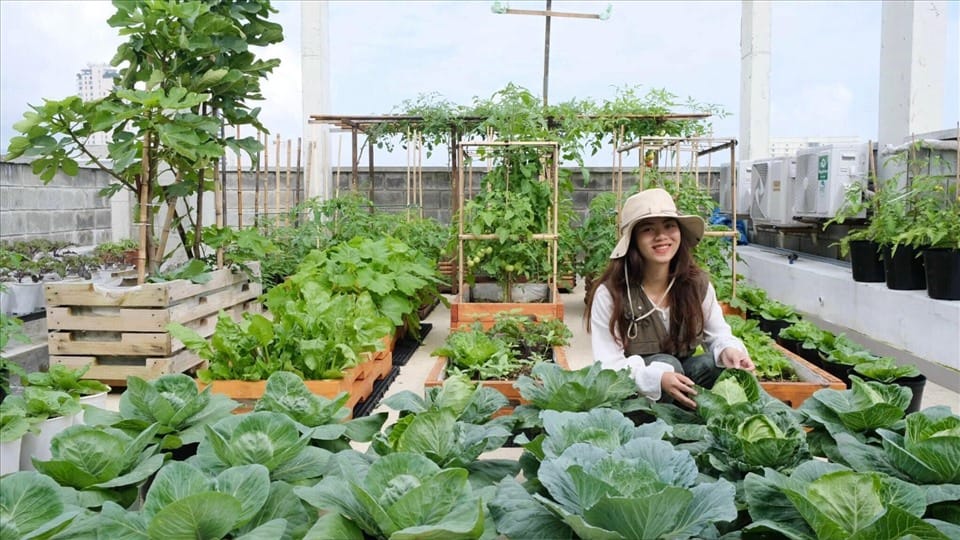Prepare garden for spring