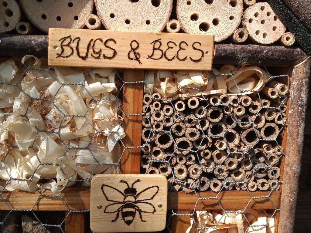 bamboo bug hotel