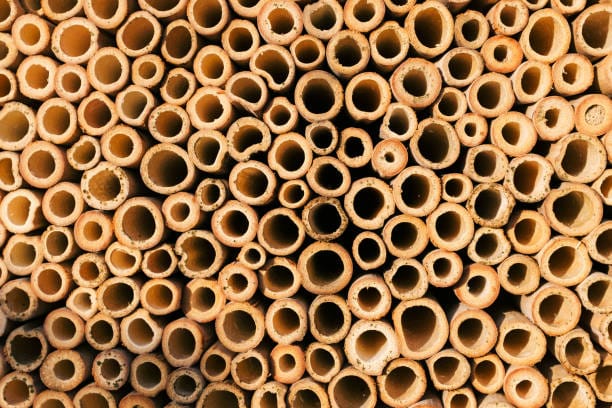 bamboo bug hotel