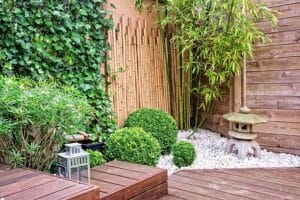bamboo landscaping
