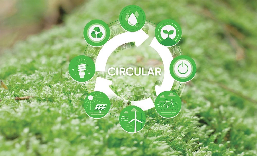 circular economy
