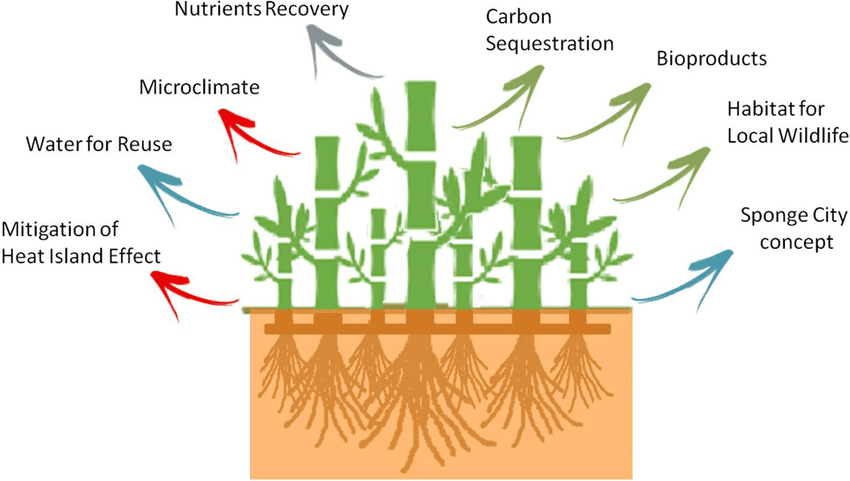 circular economy