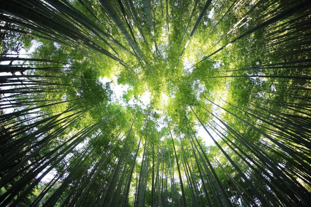 circular economy