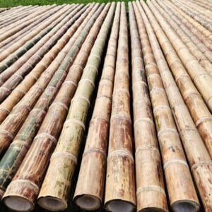 how long do bamboo stakes last