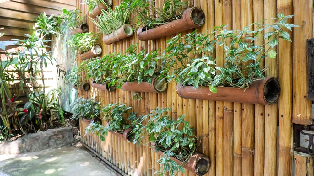vertical-garden