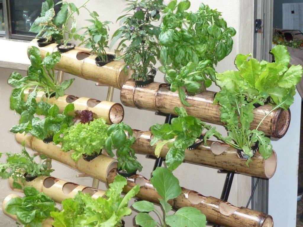 vertical-garden
