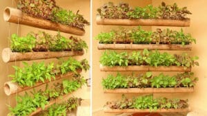 vertical-garden