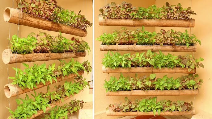 vertical-garden