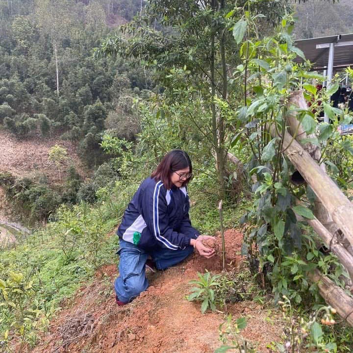 A Day Planting Bamboo And Nurturing Hope In Sapa 10 bambo supplier activities