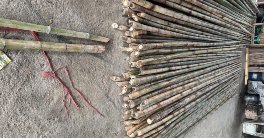bamboo-compressive-strength