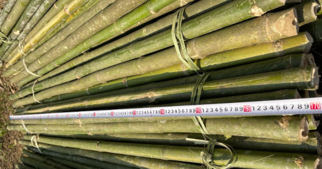 bamboo-compressive-strength