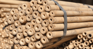 bamboo-construction-lead-time